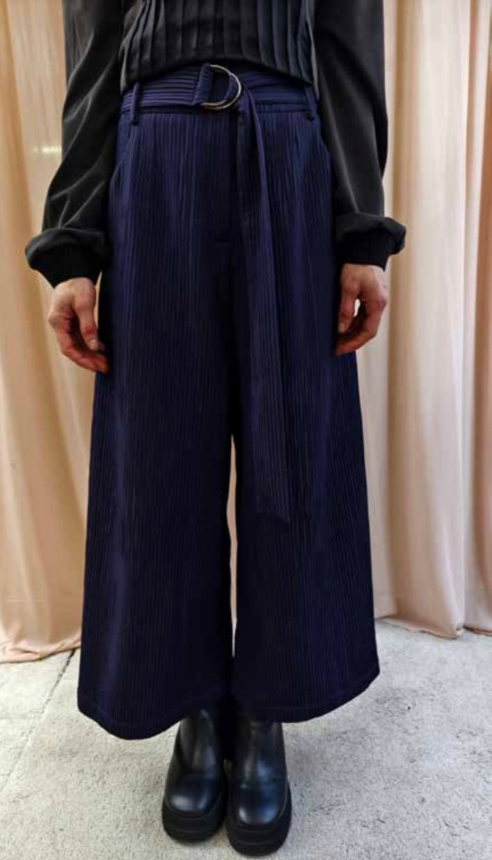 Pantalone in organetto